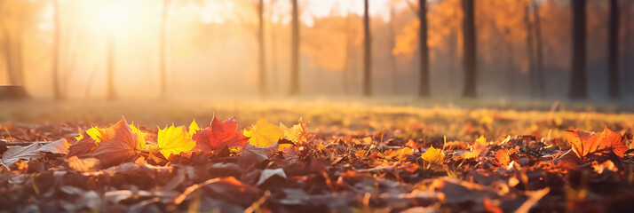 Golden Leaves Fallen In Ground Autumn Background