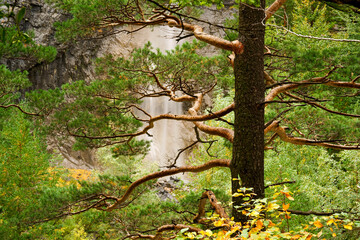 Salto del Carpin.Valle de Bujaruelo.Huesca.Pyrenean mountain range. Spain.
