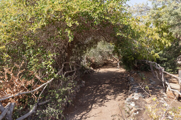 Walkway passing through the ornate Botanical Garden in Eilat city, southern Israel