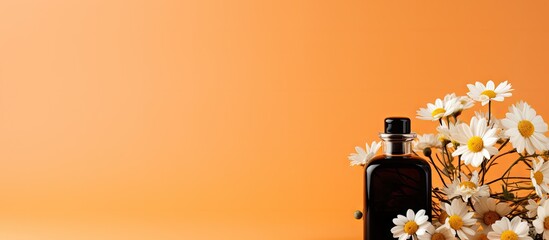 Aromatherapy with Essential Oil Bottle and Delicate Dai Dais on Vibrant Orange Background