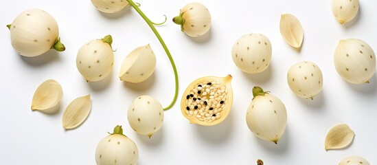 Obraz premium Elegant Blooms: A Collection of White Flowers on a Clean White Background