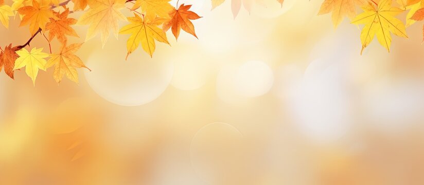 Vibrant Autumnal Aerial Background with Maple Leaves and a Serene Forest Landscape Vector Illustration