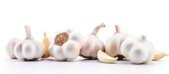 Obraz na płótnie Canvas Aromatic Garlic Bulbs Array on Clean White Background for Kitchen Cooking Concepts