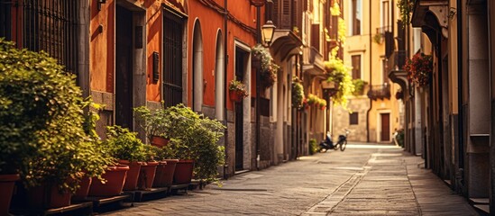 Fototapeta na wymiar Captivating Alleys of Rome: Vibrant Colors and Rich History on a Picturesque Narrow Street