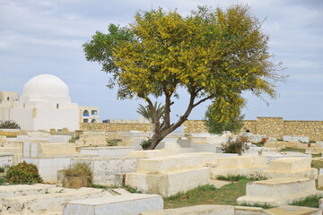 city old town monastir, tunisia