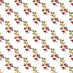 Seamless pattern with shiny or hedge cotoneaster