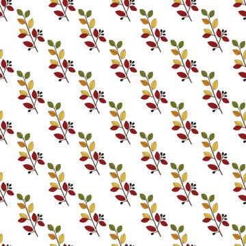 Seamless pattern with shiny or hedge cotoneaster