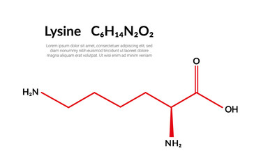 Lysine (symbol Lys or K) C6H14N2O2 amino acid, molecular structural chemical formula