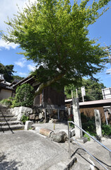 関寺旧跡　逢坂山安養寺　滋賀県大津市逢坂