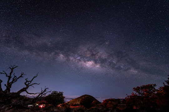 Stargazing at Pu'u Kalepeamoa, Maunakea Visitor Information Station, Big Island, Hawaii. Starry night sky, dead tree with Milky Way galaxy astrophotography. Sophora chrysophylla	