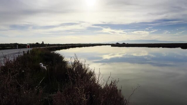 The Lake Water in Sunny day near the Road