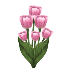 Pink tulip flower bouquet illustration.