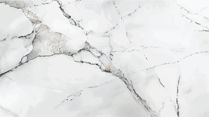 Marble granite white background wall surface black pattern graphic abstract light elegant gray for do floor ceramic counter texture stone slab smooth tile silver natural for interior decoration. © Twinkle 