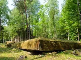 Ruiny Wilczego Szańca, pierwszej kwatery głównej Frontu Wschodniego Adolfa Hitlera w czasie II wojny światowej	 - 760334828