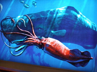 squid fighting whale