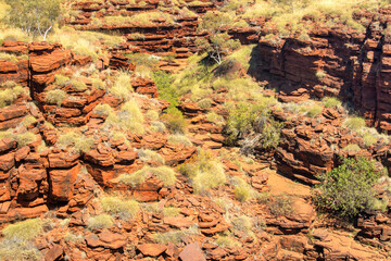 Experience the awe-inspiring scenery of Karijini National Park while bushwalking in Western Australia's rugged landscapes