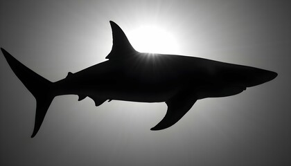 A Hammerhead Shark With Its Distinctive Silhouette Upscaled 4 - obrazy, fototapety, plakaty