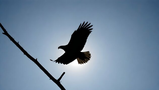 Eagle Silhouette Upscaled 67