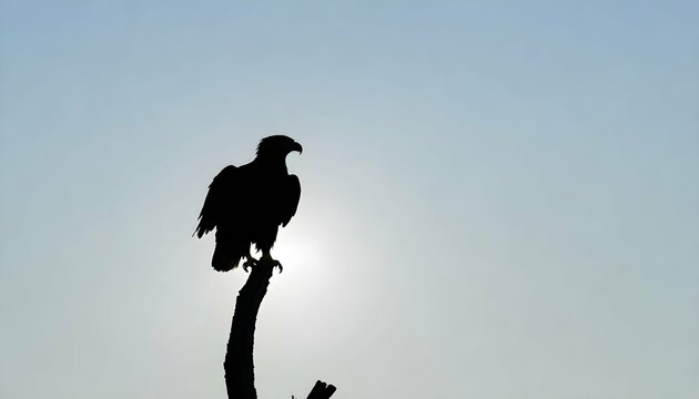 Eagle Silhouette Upscaled 89