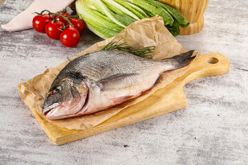 Raw dorada fish served rosemary