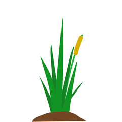 Illustration of Swamp Weed Grass with Mounds of Soil