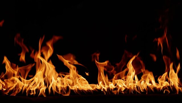 Fire burning. Bright burning flames on a black background. Fire in slow motion. Wall of Real fire, abstract background. Slow motion video