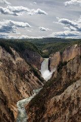 The Grand Canyon of Yellowstone: A geological masterpiece carved by the mighty Yellowstone River, where cascading waterfalls and vibrant hues of the canyon walls create a breathtaking natural wonder