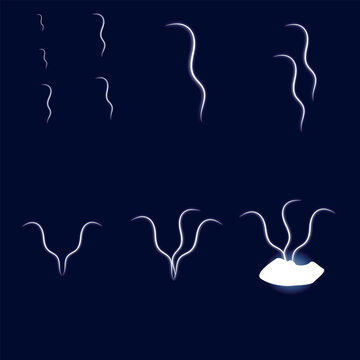 lightning zet light bulb. vector illustration