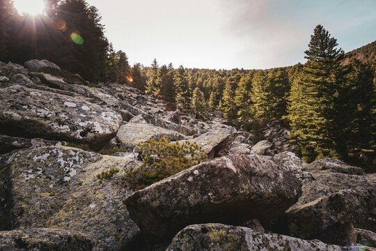 Naklejki rocks in the mountains