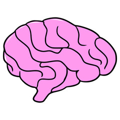 brain illustration hand drawn isolated vector	
