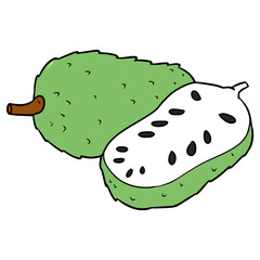 juicy soursop illustration hand drawn isolated vector	
