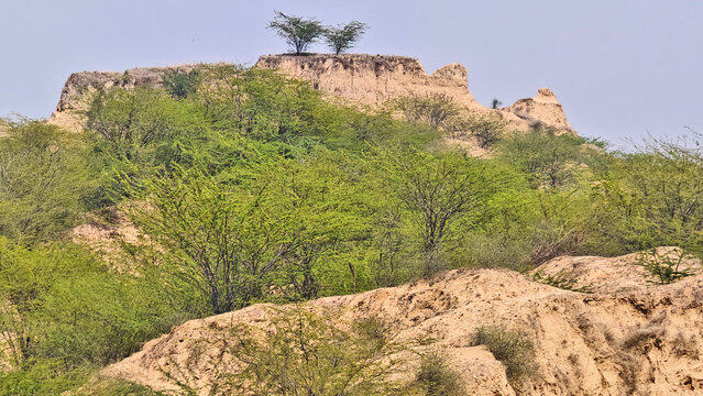 Chambal valley, Madhya Pradesh, India