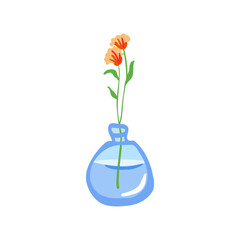 Fresh flower in glass vase. Fragile delicate stems in water. Cut floral plant. Gentle spring blooms, blossomed summer wildflower bouquet isolated on white background. Flat vector illustration