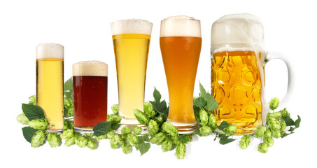 Bier - Biergarten Panorama mit Biergläser und Hopfen; Hintergrund Freigestellt - 760379662