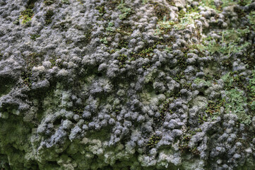 Fototapeta premium Geology of a Rock