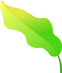 해초 잎 나뭇잎