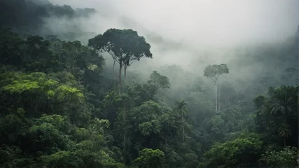 Zelfklevend Fotobehang Misty landscape with fir forest  © Oranok