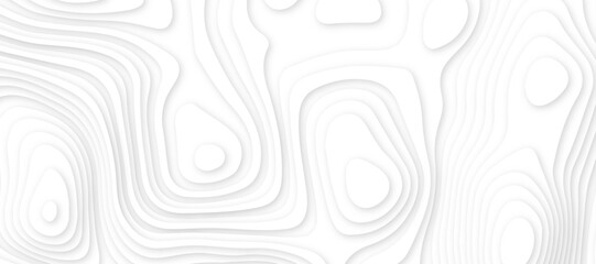 Abstract white luxury paper cut banner concept .abstract wavy line 3d paper cut white background texture .white wave paper curved reliefs background design .