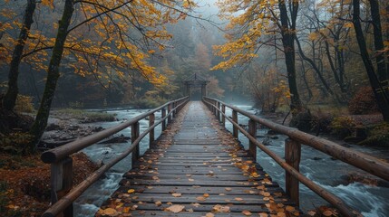 Fototapeta premium Wooden pathway above the water with autumn trees in the distance in the forest 