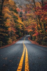 Road surrounded by trees with colorful leaves during fall
