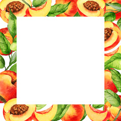 watercolor square white frame with illustration of summer fruit, peach or apricot, nectarine on a branches with green leaves, sketch of sweet food with slices of fruits, white background