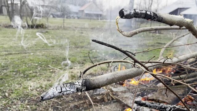 Ognisko z palonymi gałęziami, dym unoszącuy się z pękającej gałęzi i dżwięk strzelającego drewna.