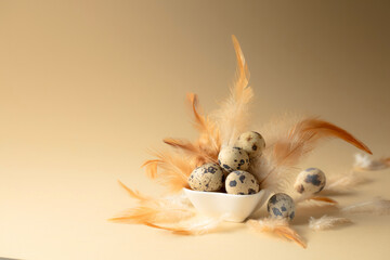 Quail eggs and feathers on a beige background.