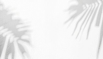 Empty palm shadow white gray color texture pattern cement wall background.