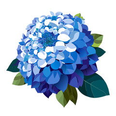 An elegant and vibrant bloom of hydrangeas graces nature's canvas.