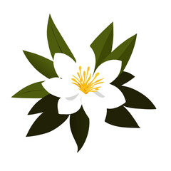 Jasmine flowers bloom gracefully against a backdrop of lush greenery, exuding a sweet and intoxicating fragrance.