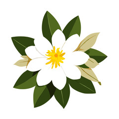 Jasmine flowers bloom gracefully against a backdrop of lush greenery, exuding a sweet and intoxicating fragrance.