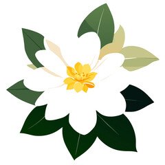 A delicate jasmine flower blooms amidst lush greenery.