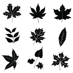 leaf silhouette vector set design	