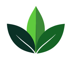 Nature's vibrant tapestry, a riot of emerald hues adorning every leaf.